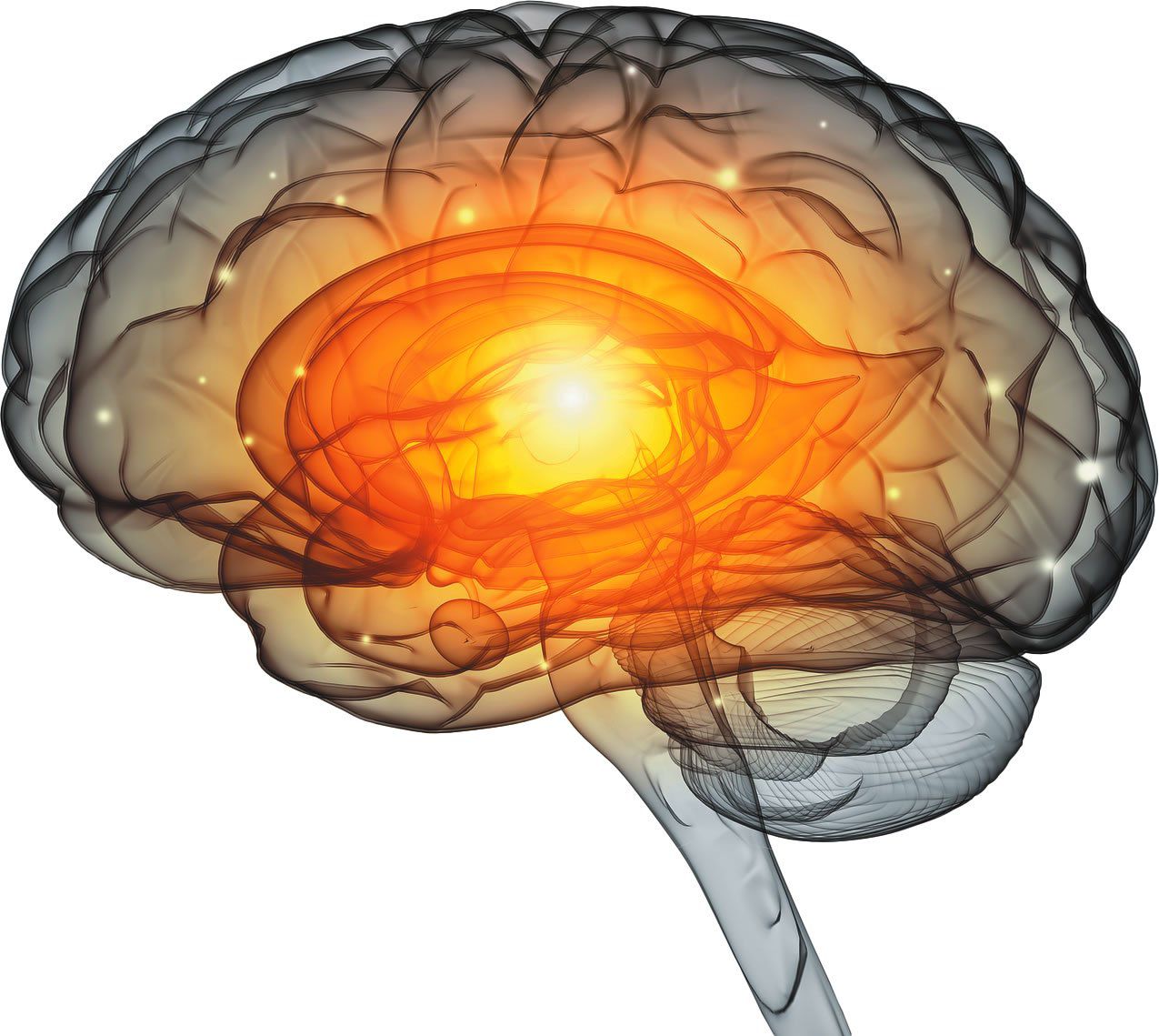 YouthPro Brain